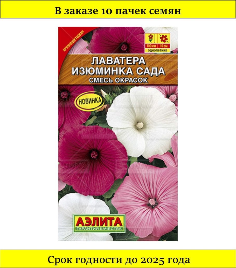 Лаватера румяный Гном