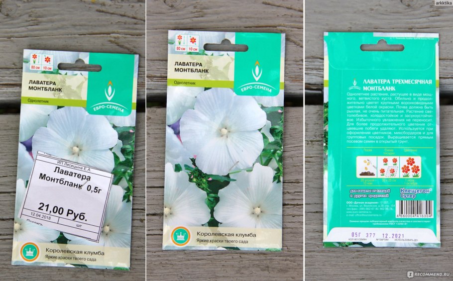 Семена лаватера красотка белая