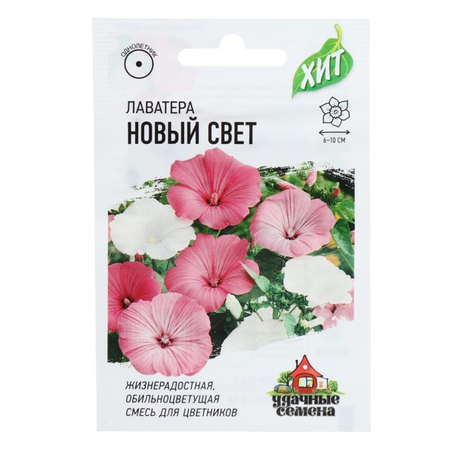 Лаватера Садовая роза