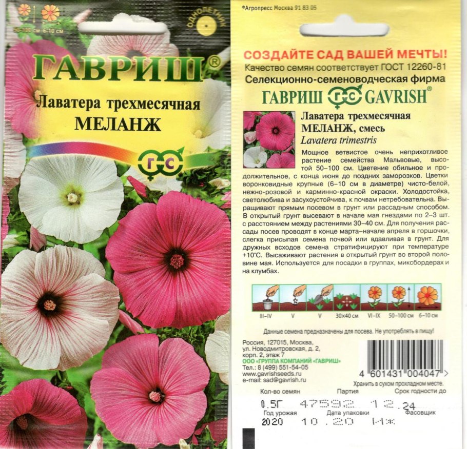 Лаватера лунный свет фото