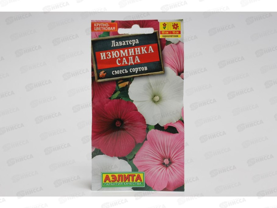 Лаватера изюминка сада смесь