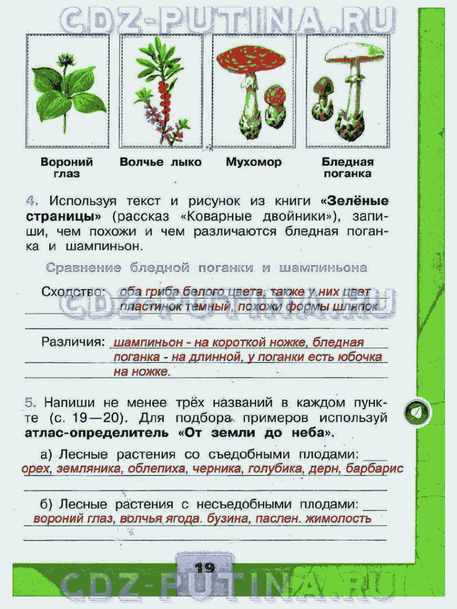 Книга зеленые страницы рассказ коварные двойники