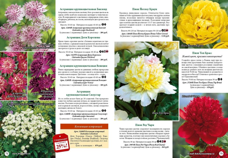 Пион уклоняющийся фармакология