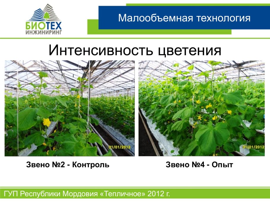 ГУП РМ Тепличная