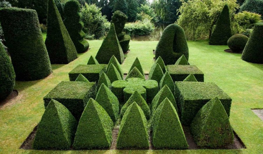 Топиарная стрижка туи Смарагд