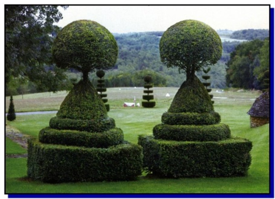 Топиарные сады древнего Рима