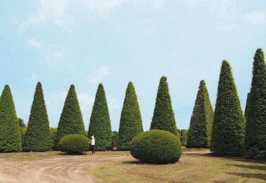 Стрижка деревьев и кустарников Рим