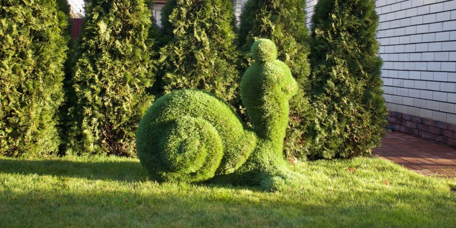 Топиари улитка Садовая