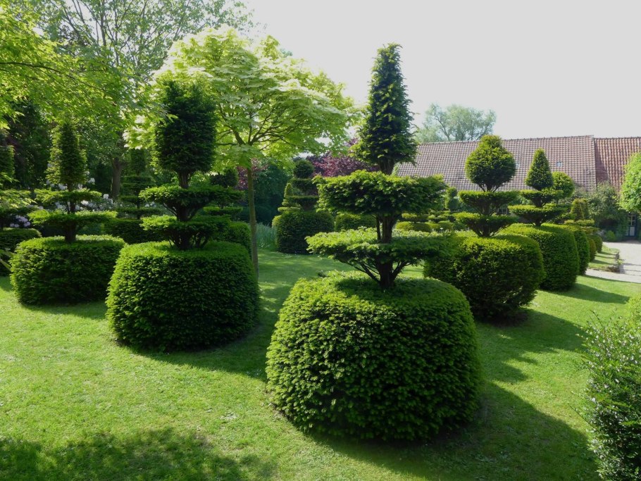 Стриженные формы кустарников в ландшафтном дизайне сада