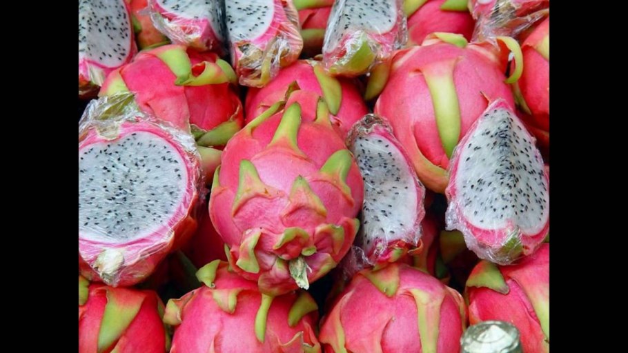 Кудрания клубничное дерево