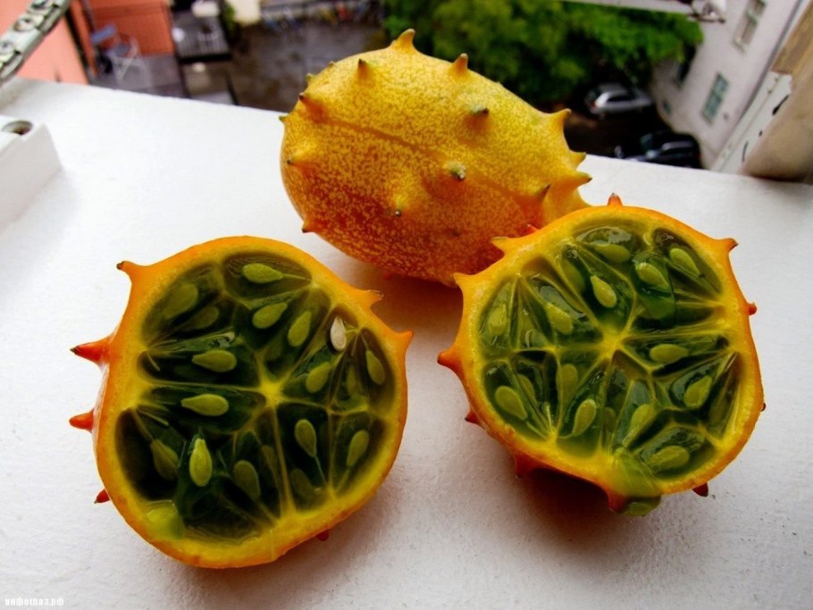 Кассава (Юкка)