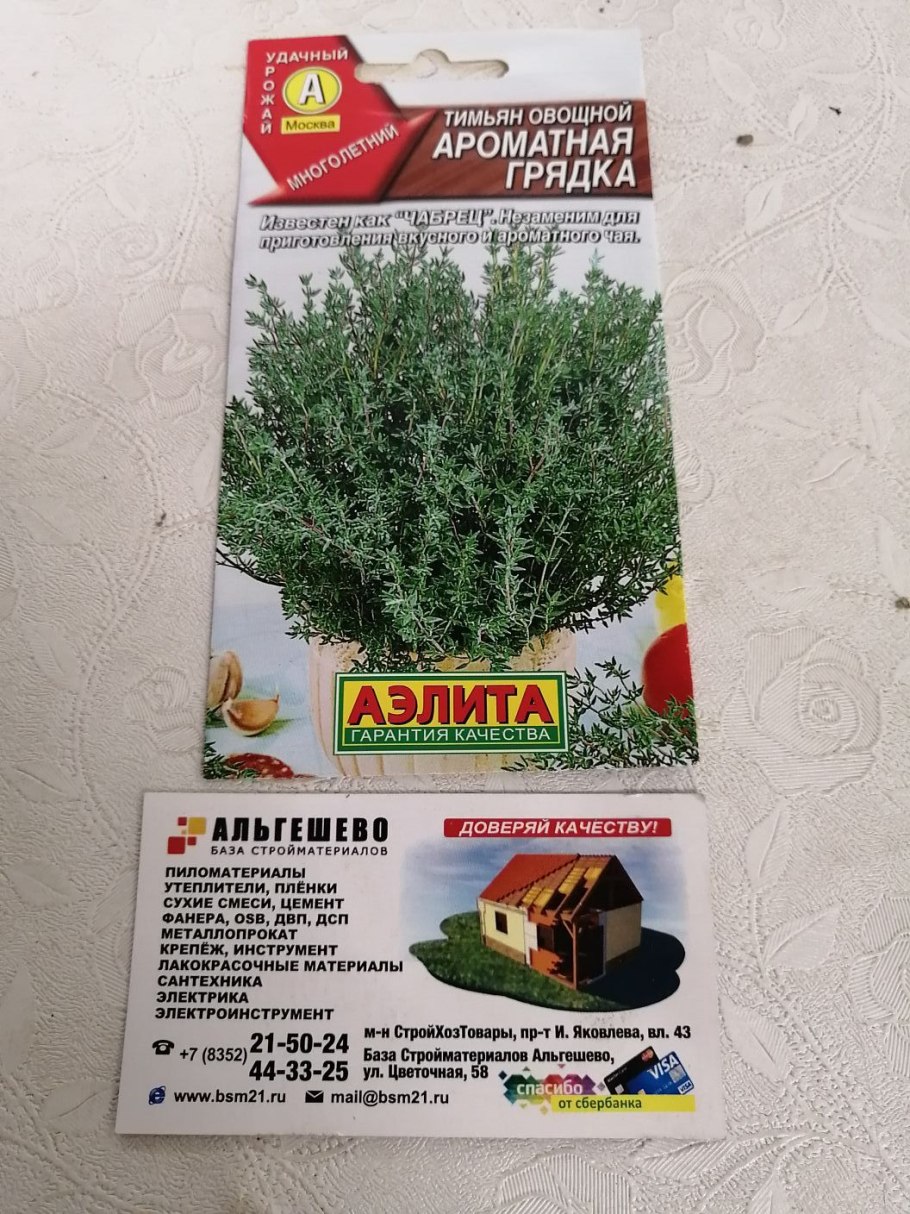 Тимьян лимоннопахнущий Mystic Lemon Thymus citriodorus