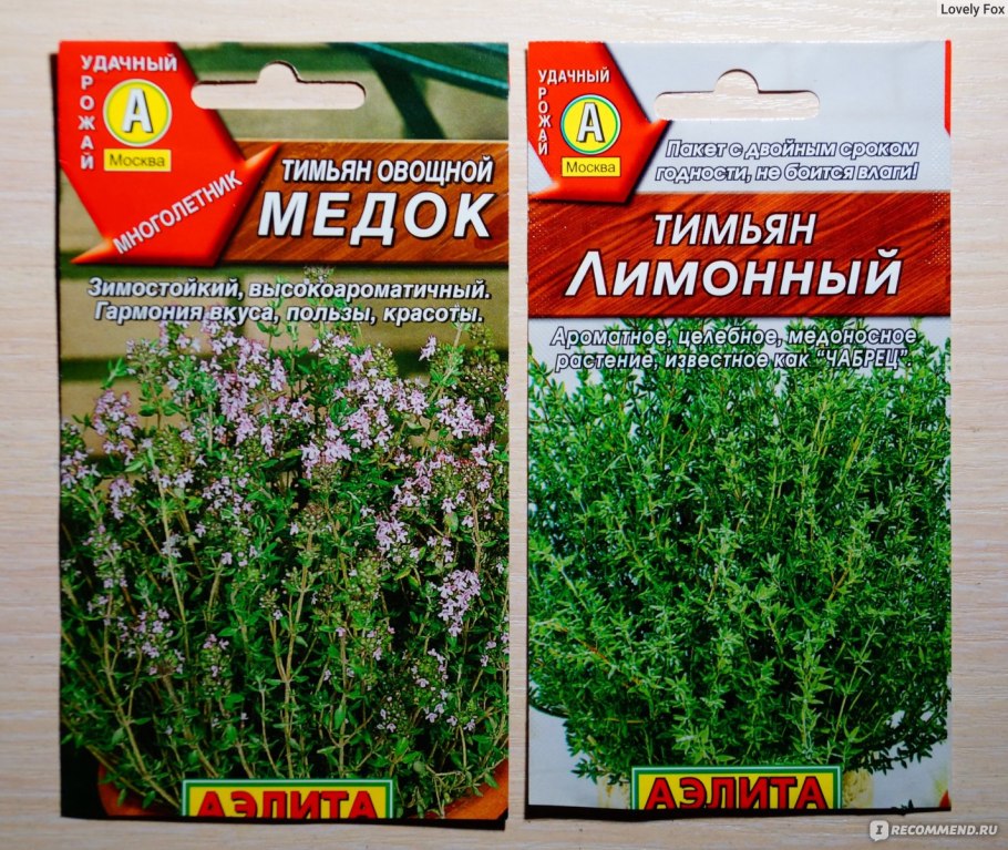 Тимьян ползучий Радужный