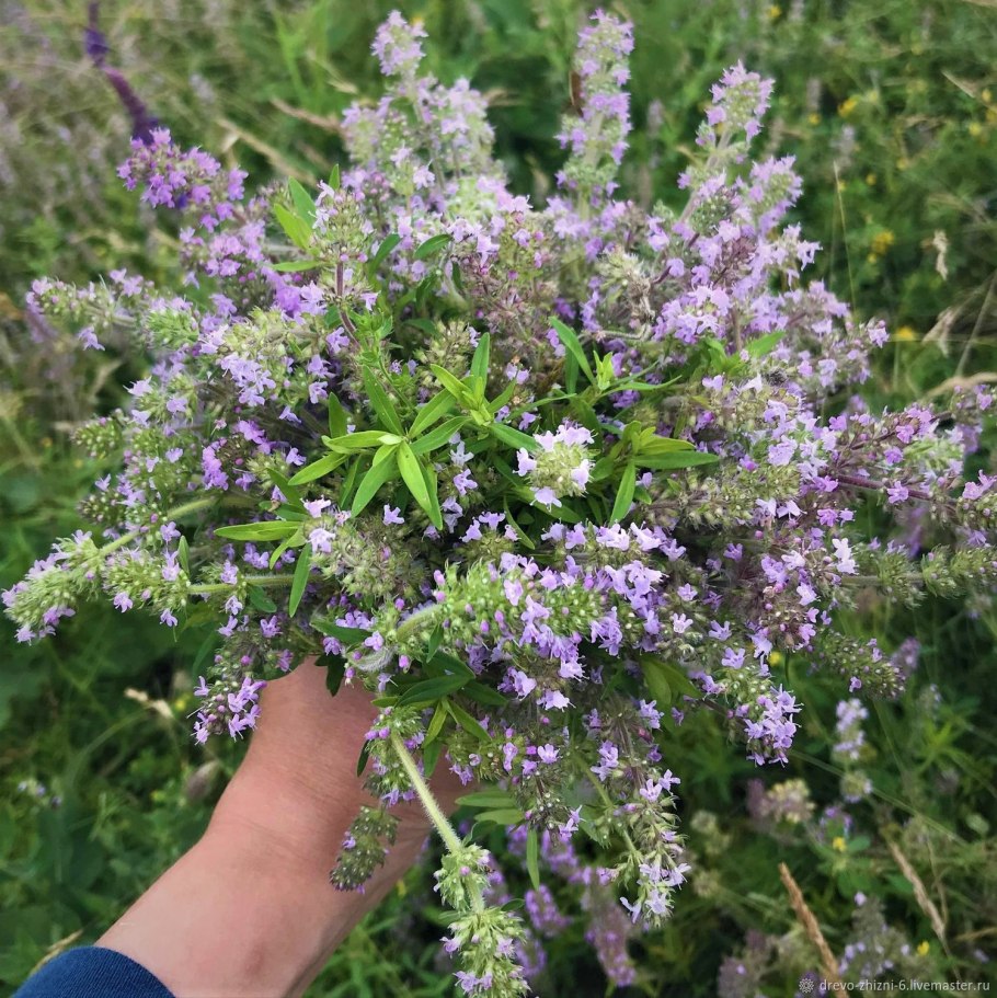 Снежный ковер