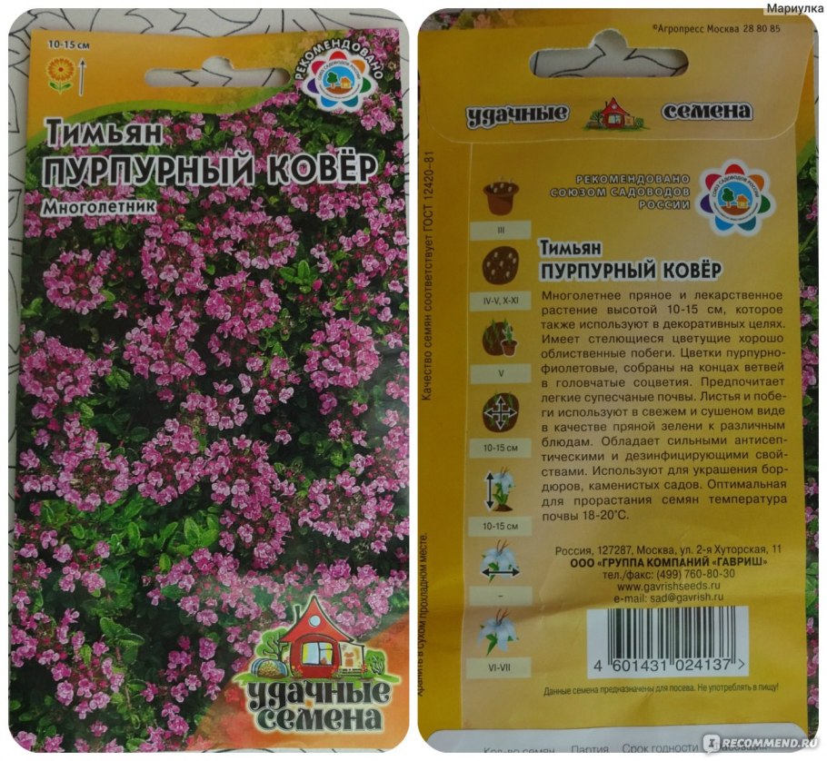 Семена тимьяна Лимончелло