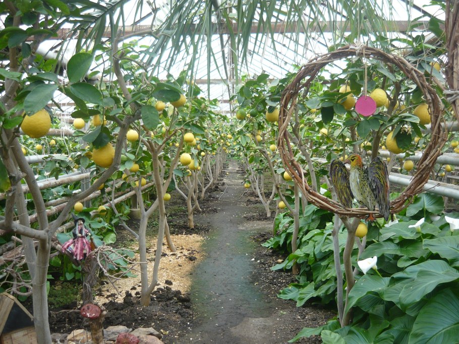 Лимонарий Уфа