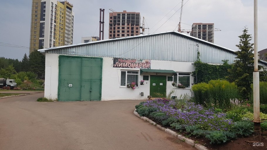 Лимонарий Саратов официальный сайт