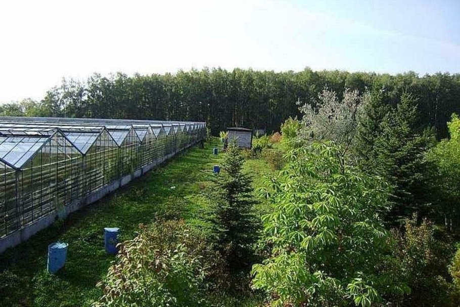 Лимонарий Уфа