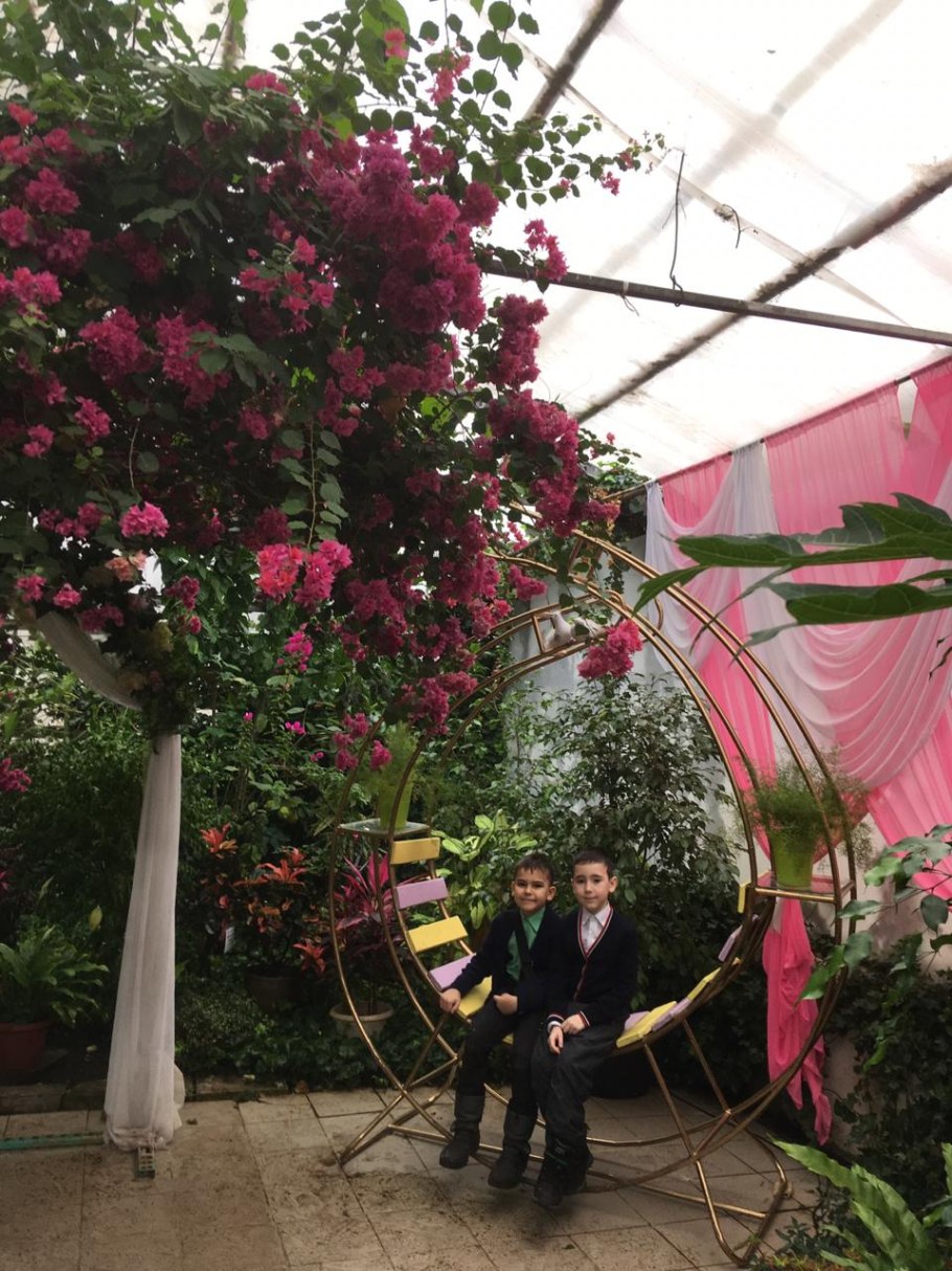 Уфимский лимонарий сорта Лимонов