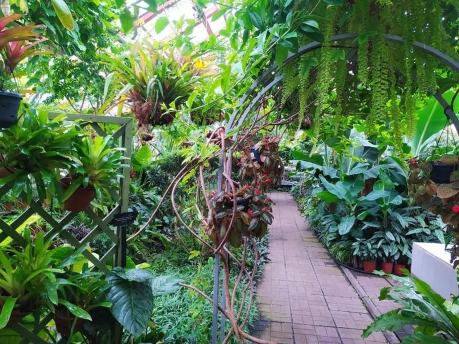 Уфимский лимонарий