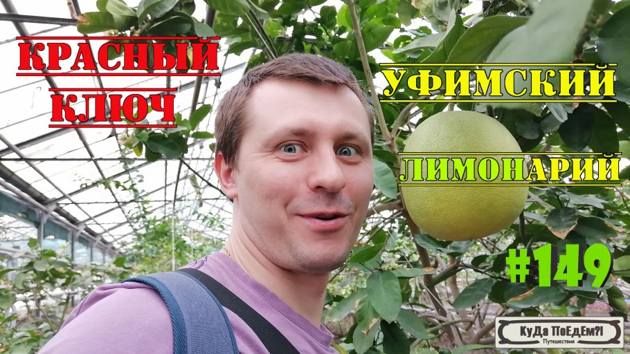 Саратовский лимонарий