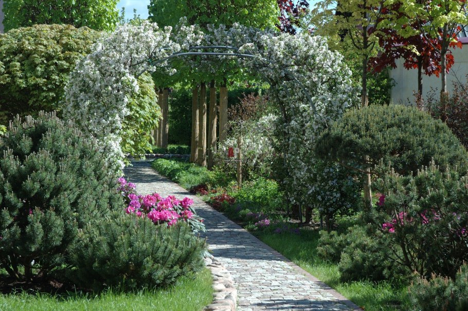 Плодовые деревья в ландшафтном дизайне