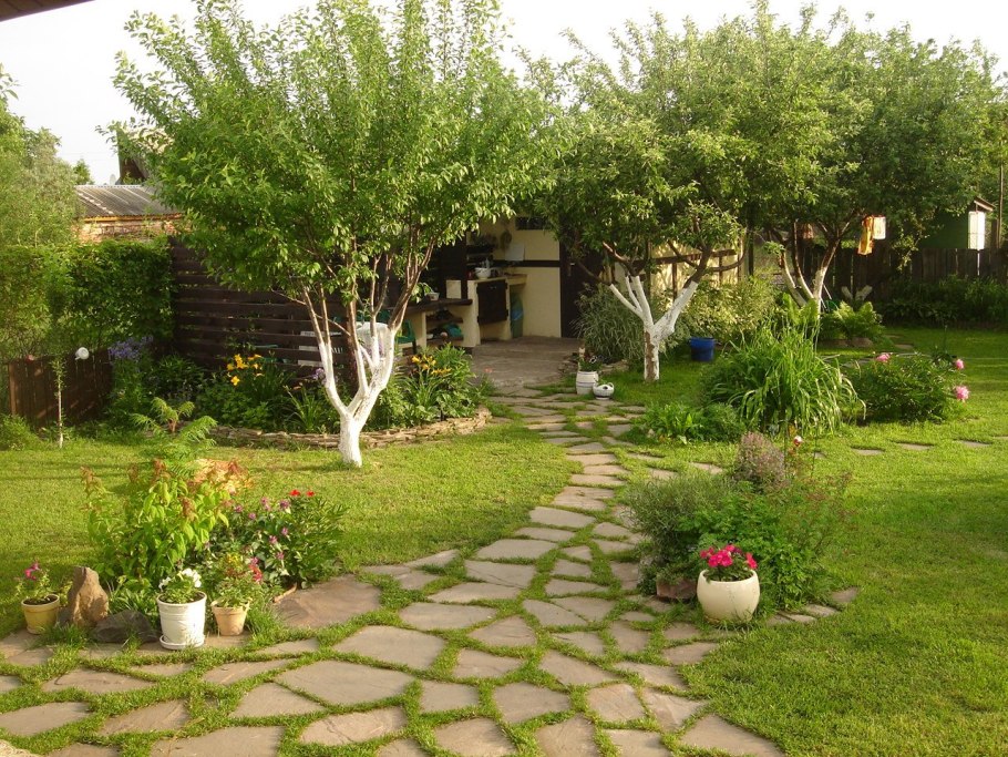 Плодовые деревья на участке