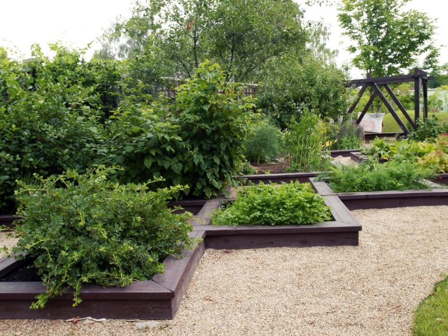 Декоративные огороды в ландшафте