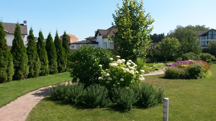 Алиса Самойлова ландшафтный дизайнер