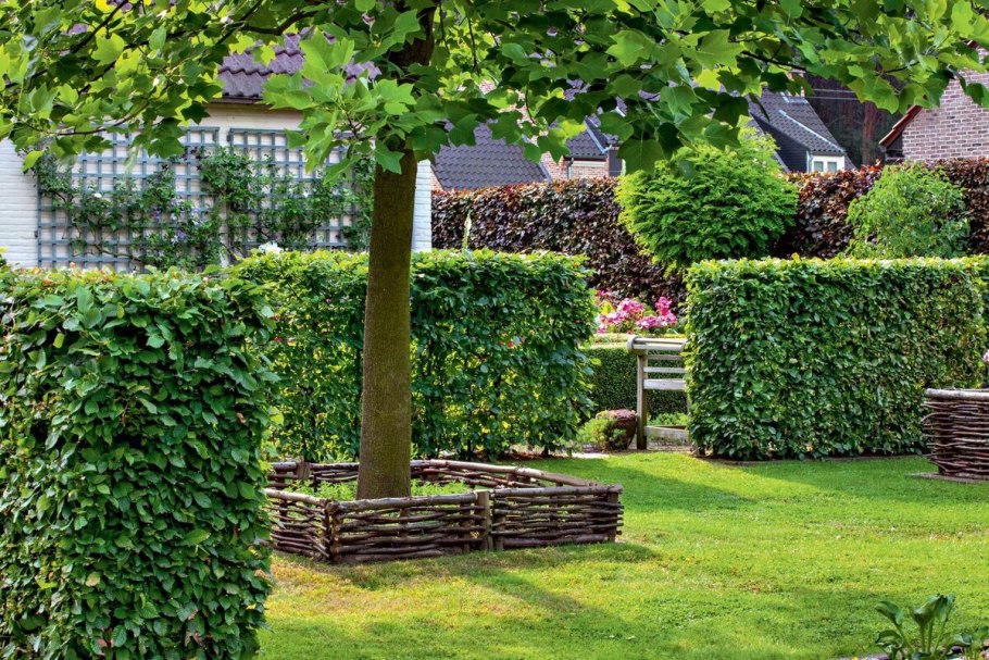 Лиственная изгородь