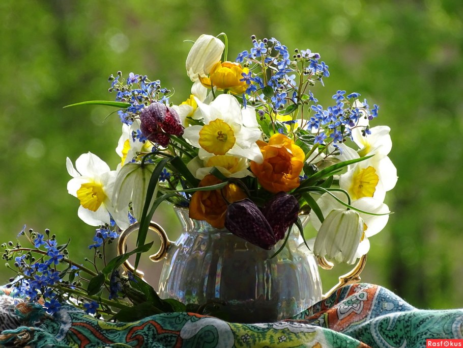 Необычные летние цветы