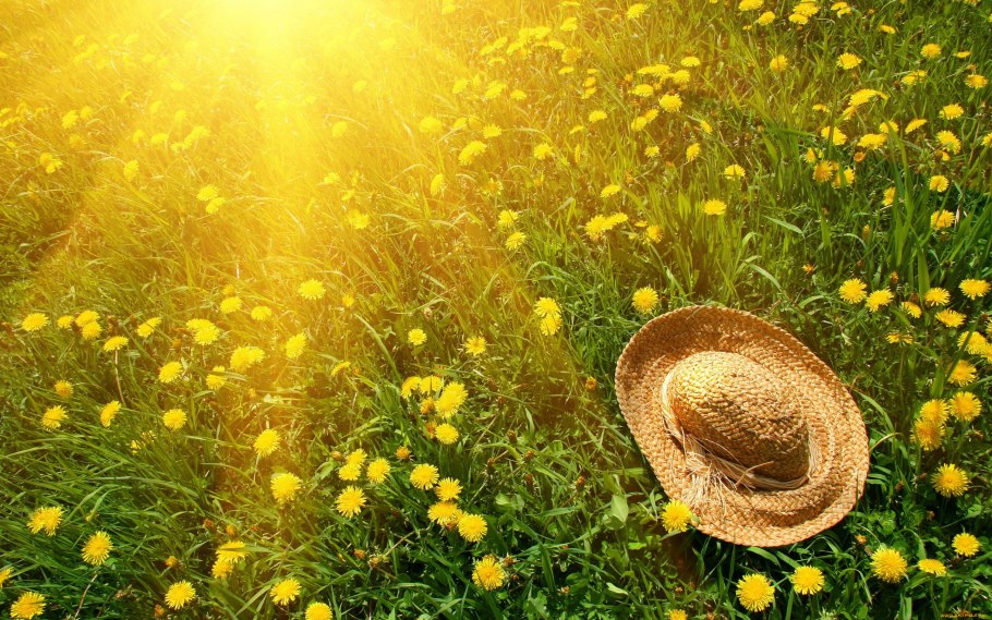 Солнечный день