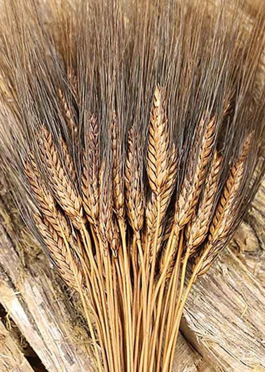 Спельта - Экофермер