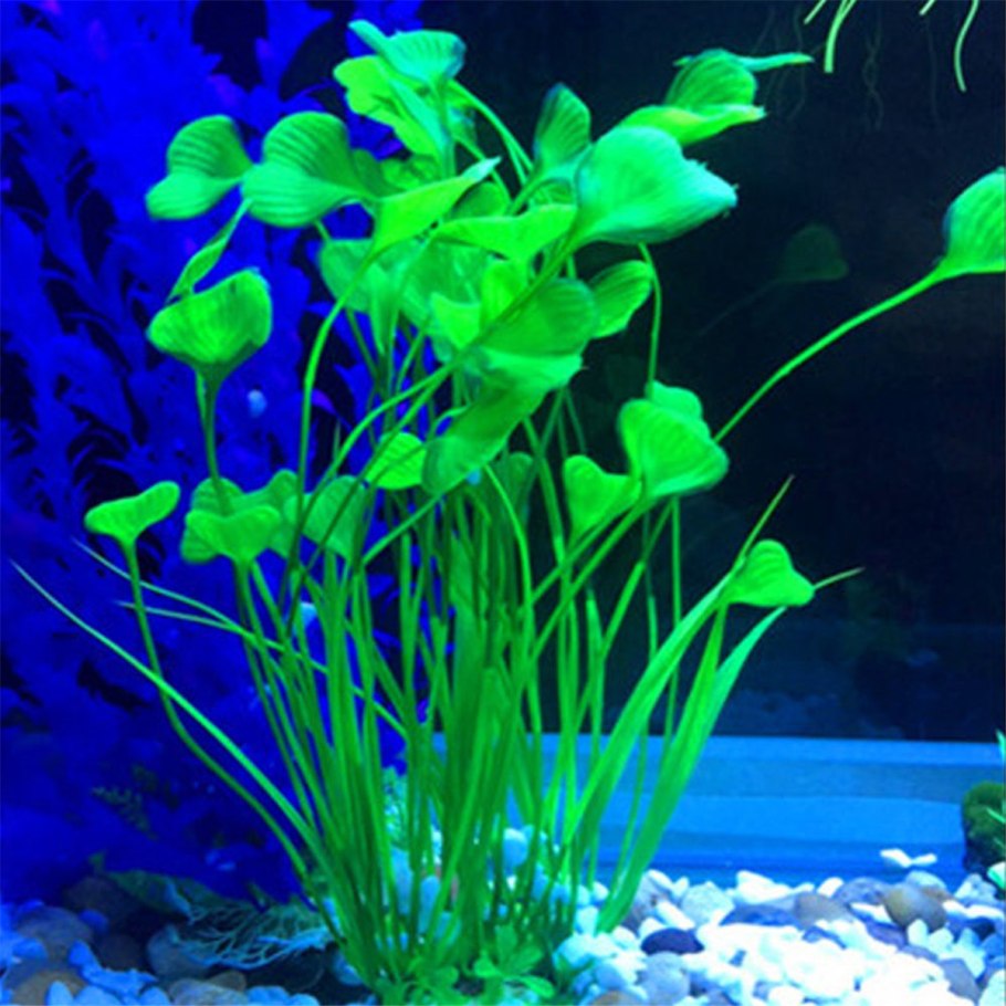 Самые популярные аквариумные растения