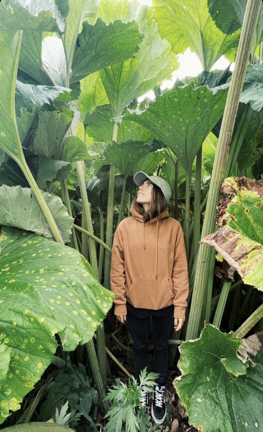 Лопухи на Сахалине