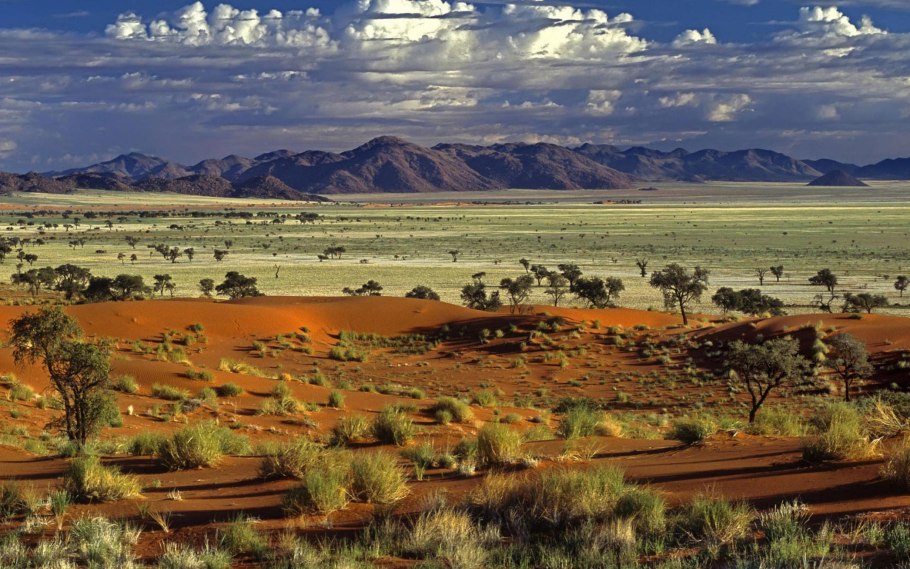 Кения Саванна