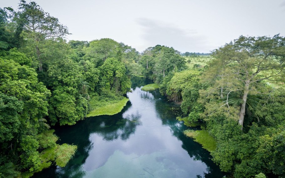 Тропические леса Конго