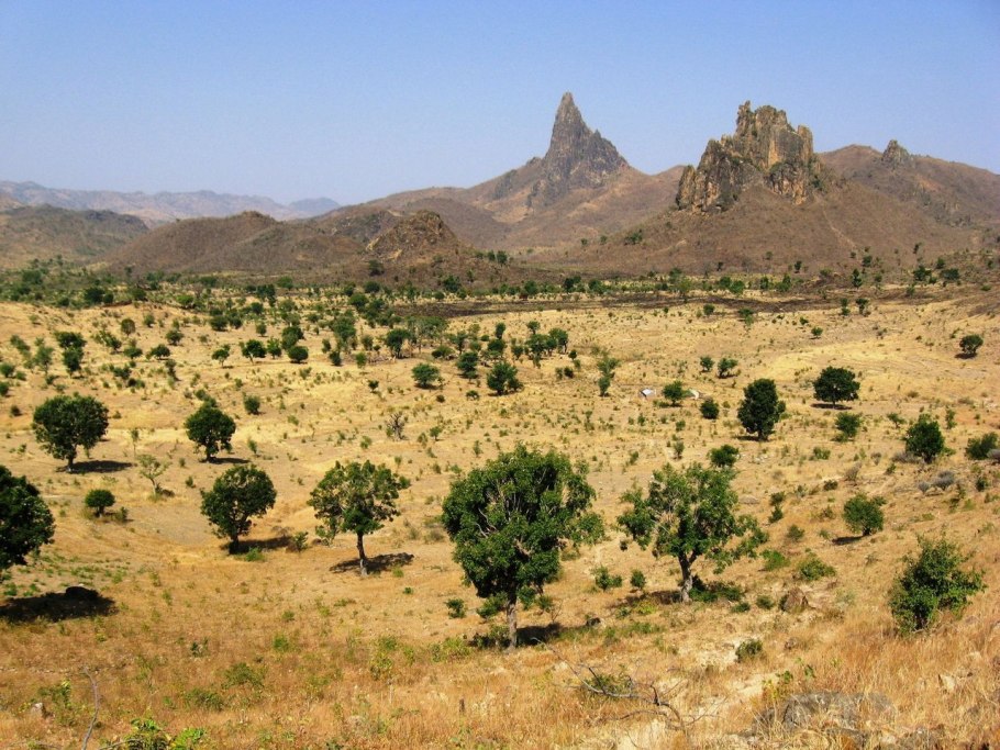 Камерун природа