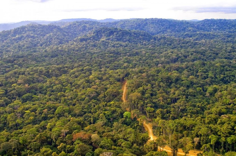 Национальный парк Салонга в Африке