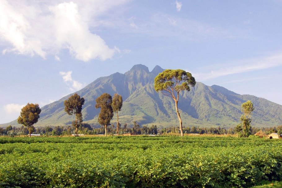 Национальный парк Вирунга (Африка)