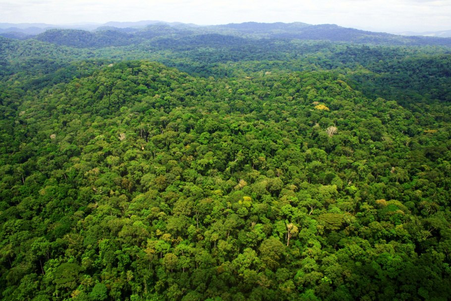 Национальный парк Ивиндо в Габоне