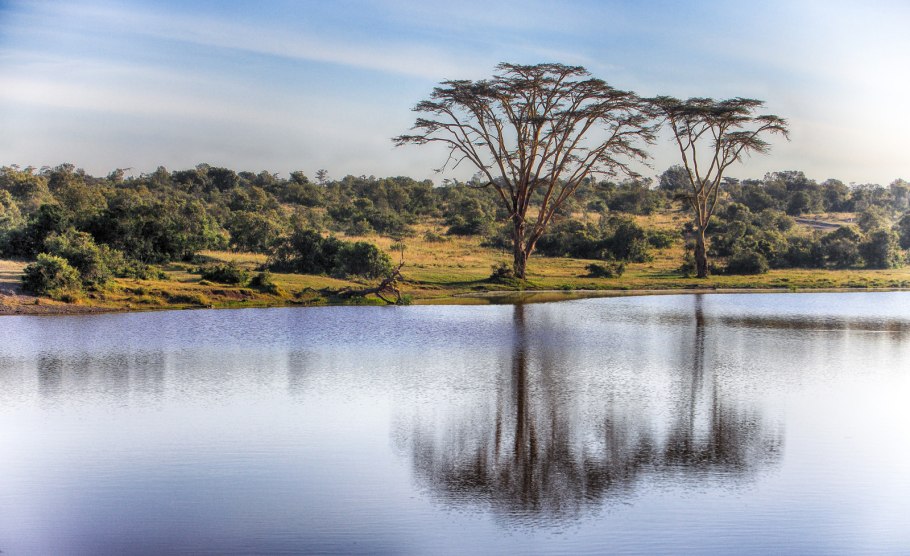 Фото реки Нил в Африке