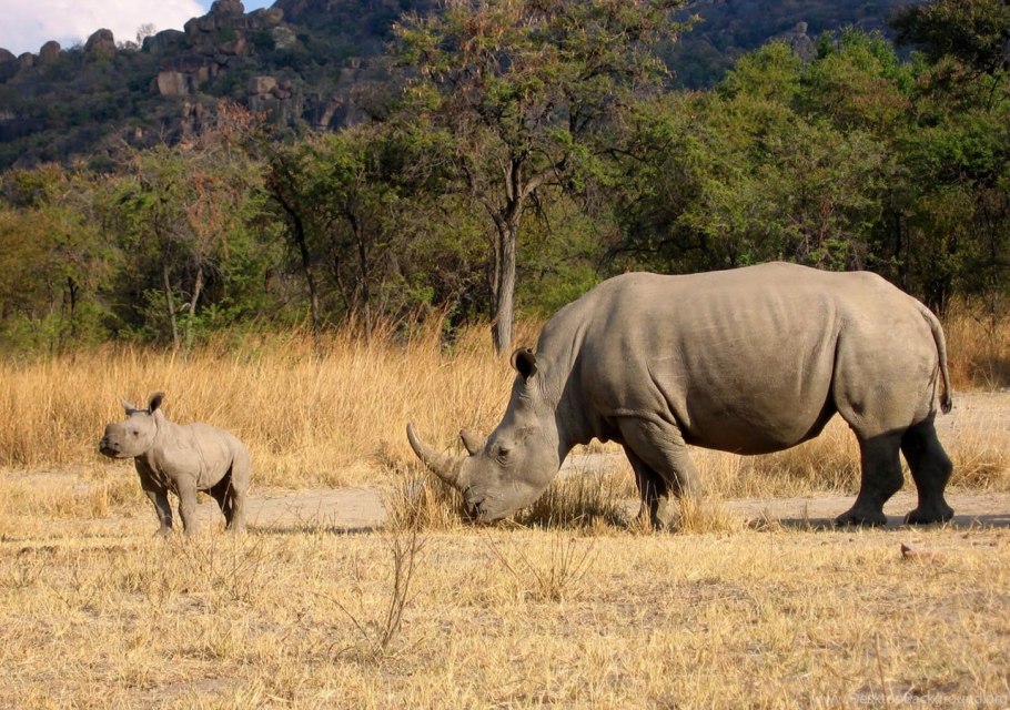 Национальный парк Гарамба