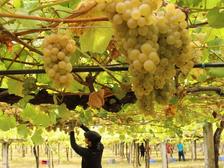 Риас Байшас Испания