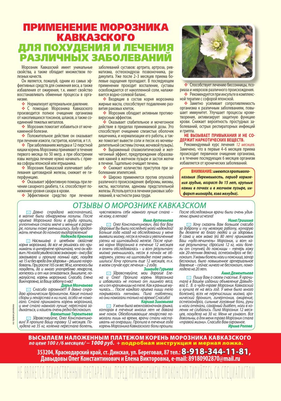 Трава кавказский морозник для похудения