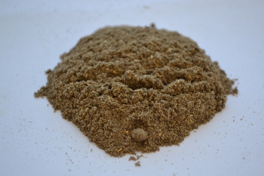 Трава морозник кавказский