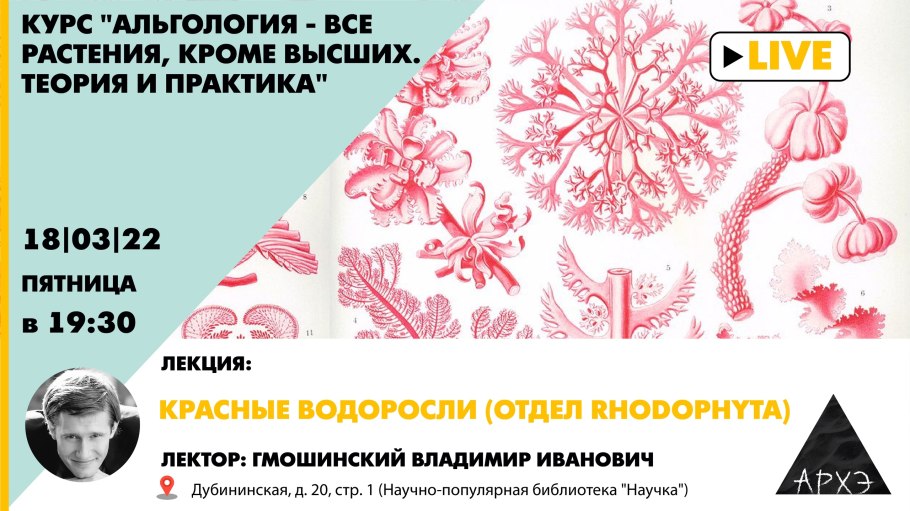 Пресноводные водоросли названия