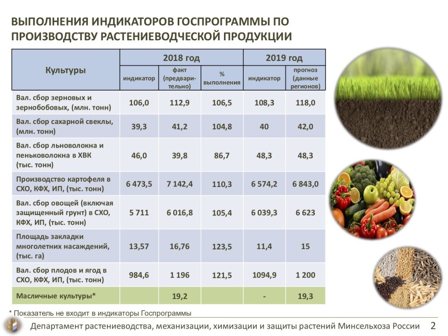Зерновые и зернобобовые культуры