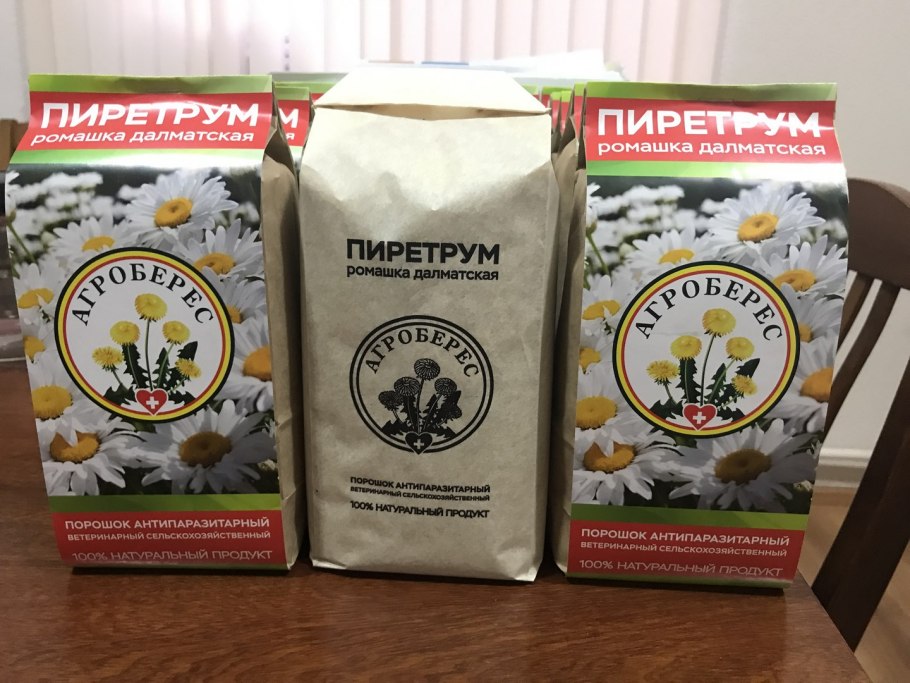 Порошок далматской ромашки