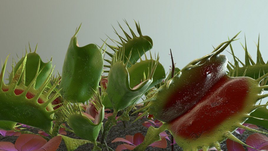 Непентес сибуянский